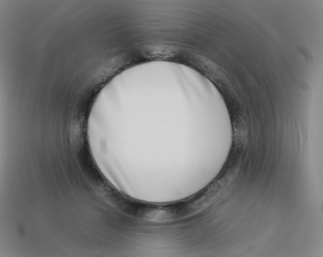 X0000113260460200910081343