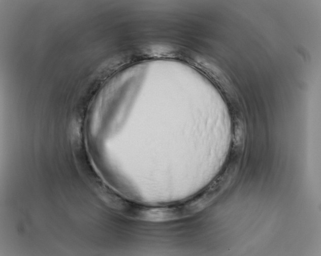 X0000113260461200910081343