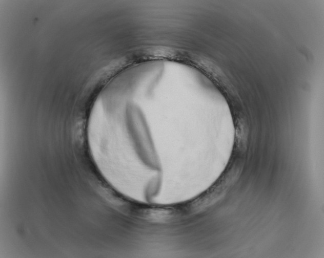 X0000113260462200910081343