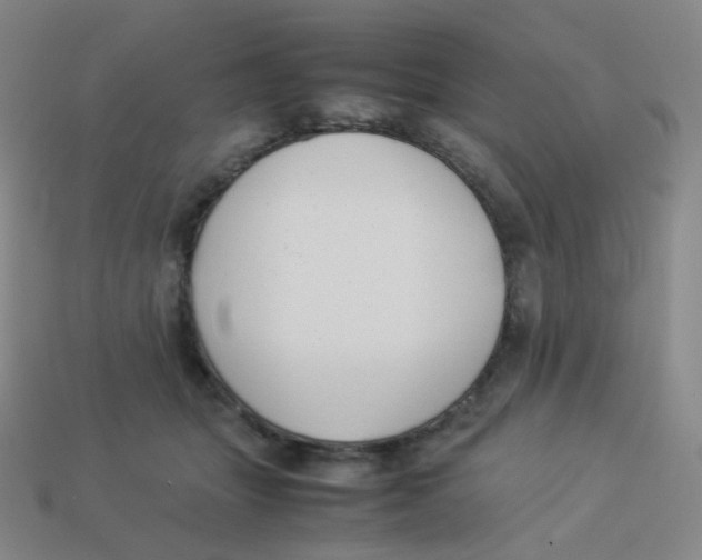 X0000113260463200910081343