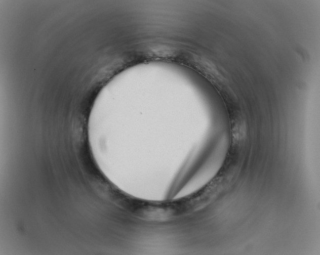 X0000113260464200910081343