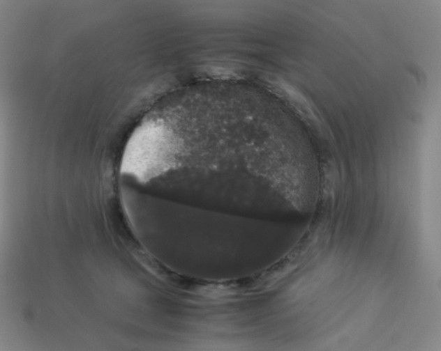 X0000113260465200910081343