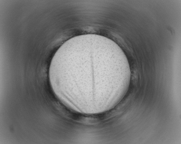 X0000113260466200910081343