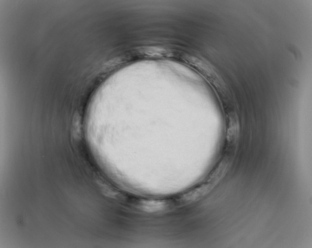 X0000113260469200910081343