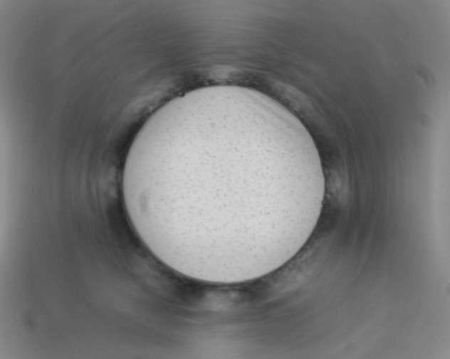 X0000113260470200910081343