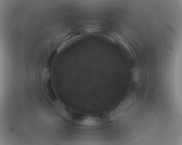X0000113260471200910081343