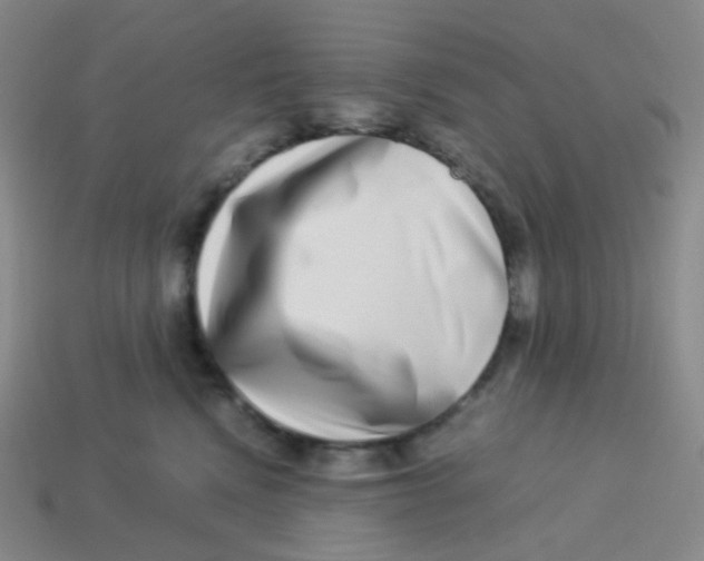 X0000113260472200910081343