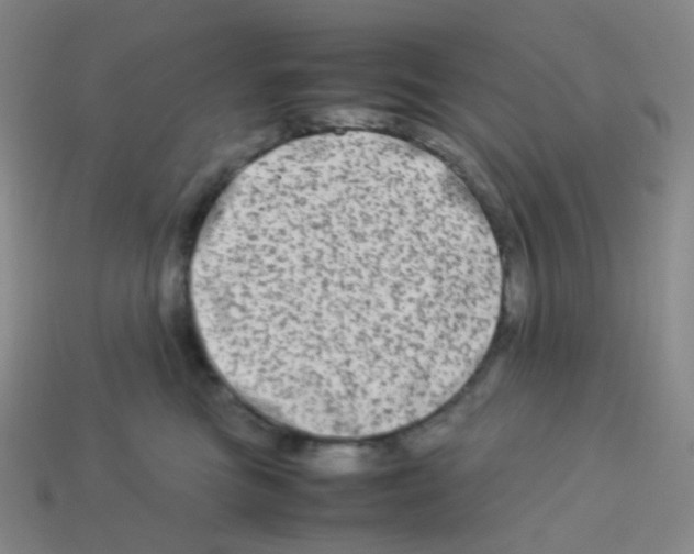 X0000113260473200910081343