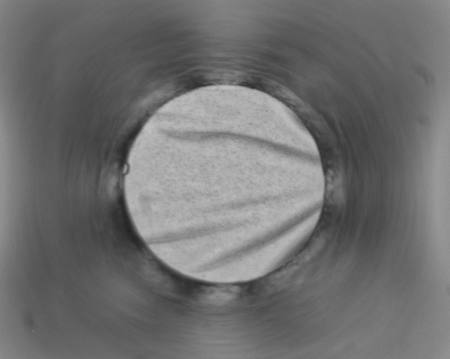 X0000113260474200910081343