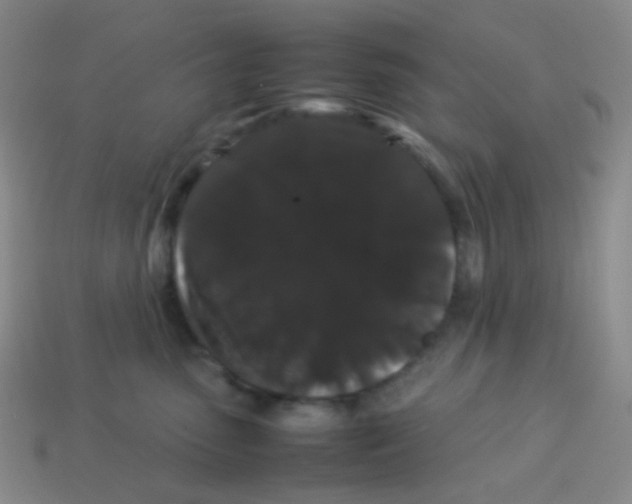 X0000113260475200910081343