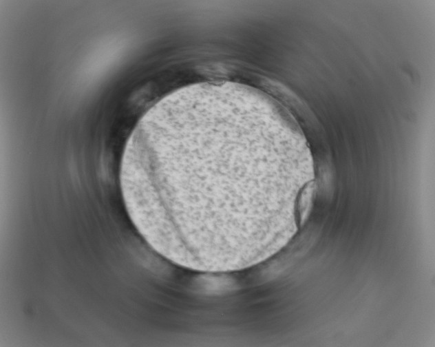 X0000113260477200910081343
