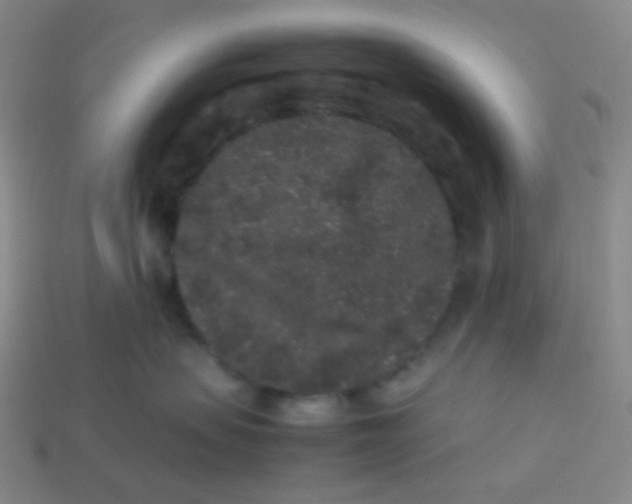 X0000113260479200910081343