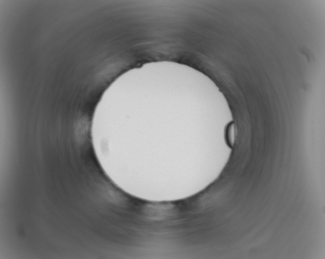 X0000113260480200910081343