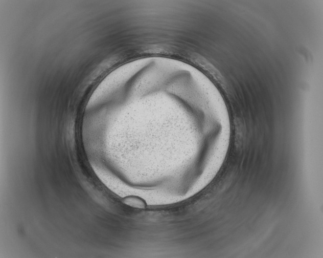 X0000113260482200910081342