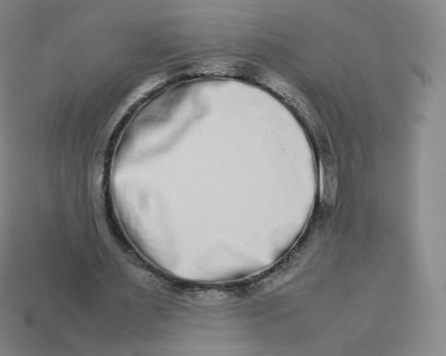 X0000113260483200910081342