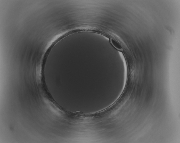 X0000113260484200910081342