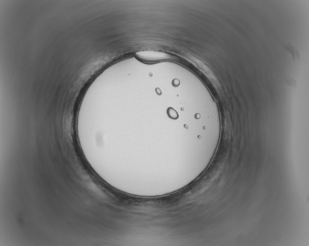 X0000113260485200910081342