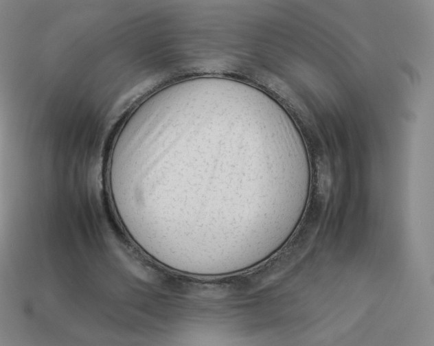 X0000113260486200910081342