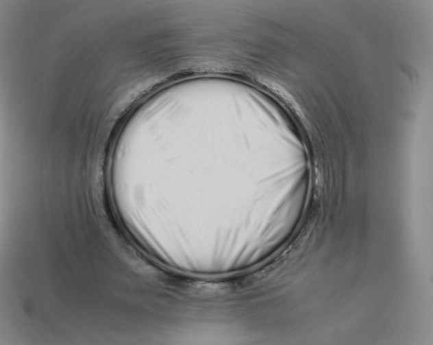 X0000113260487200910081342