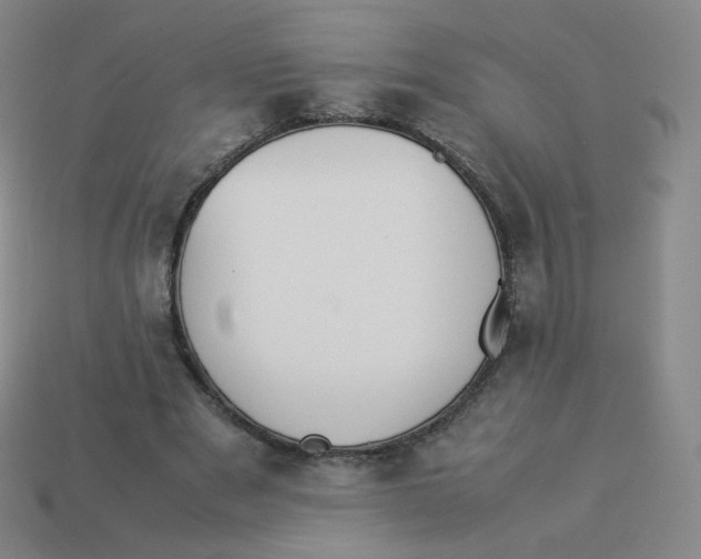 X0000113260489200910081342