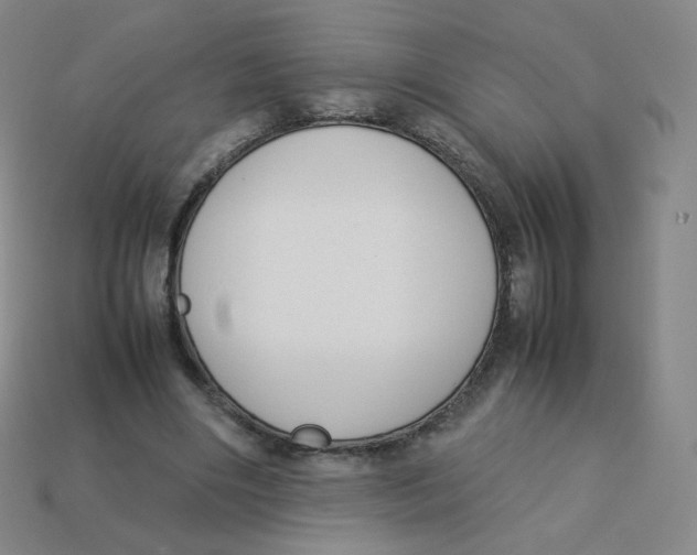 X0000113260490200910081342