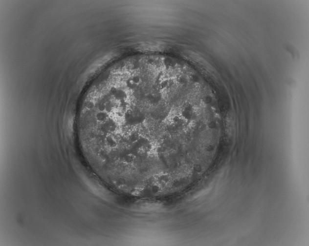 X0000113260491200910081342