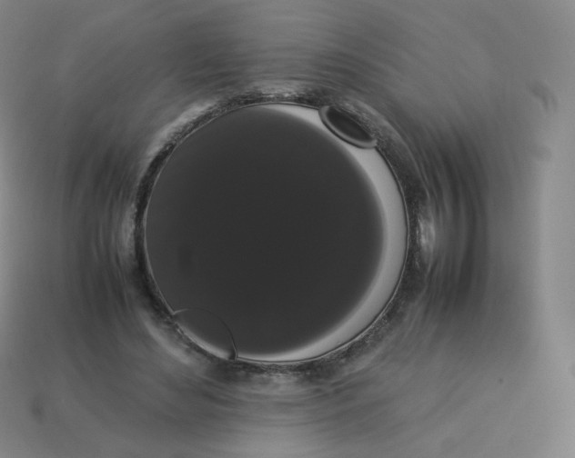 X0000113260492200910081342
