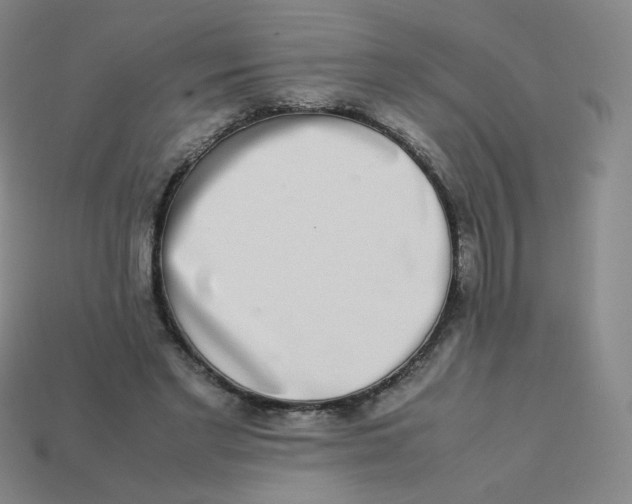 X0000113260493200910081342