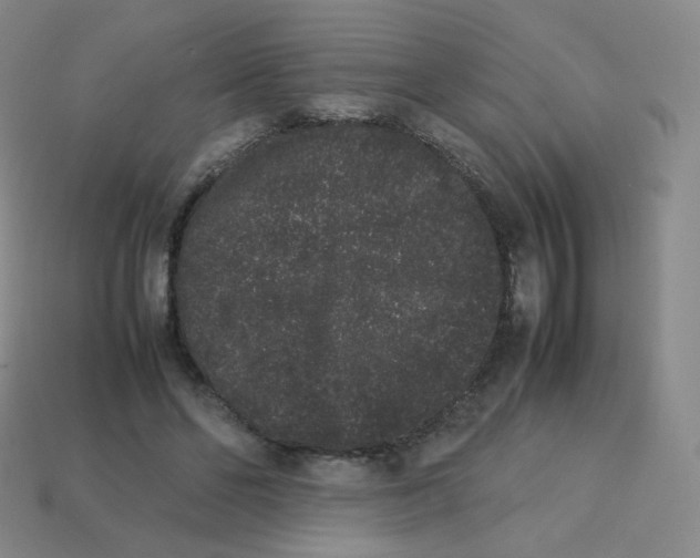 X0000113260494200910081342