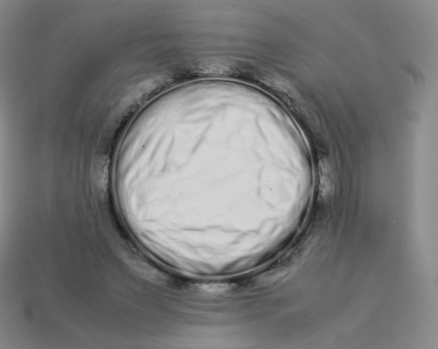 X0000113260495200910081342