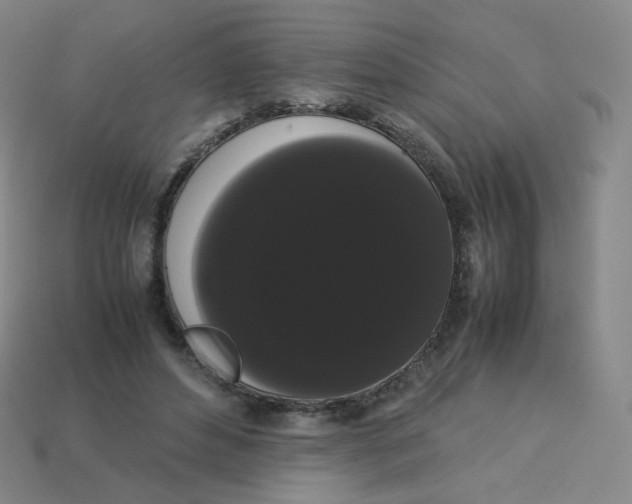 X0000113260496200910081342
