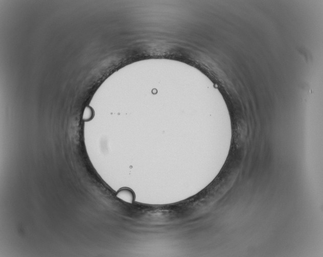 X0000113260497200910081342