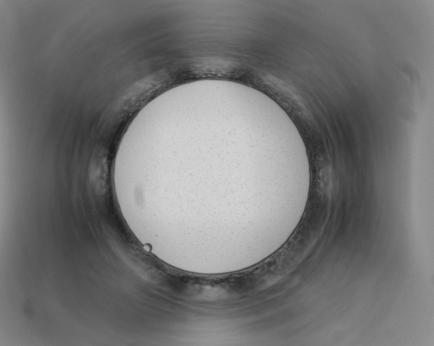 X0000113260498200910081342