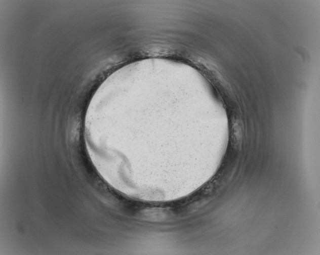 X0000113260499200910081342