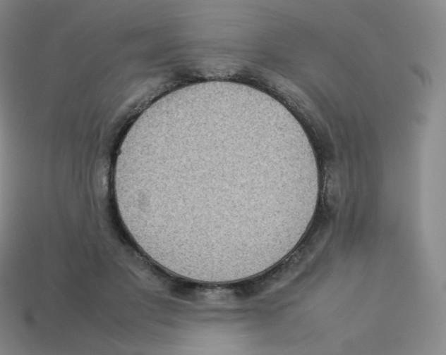 X0000113260501200910081342