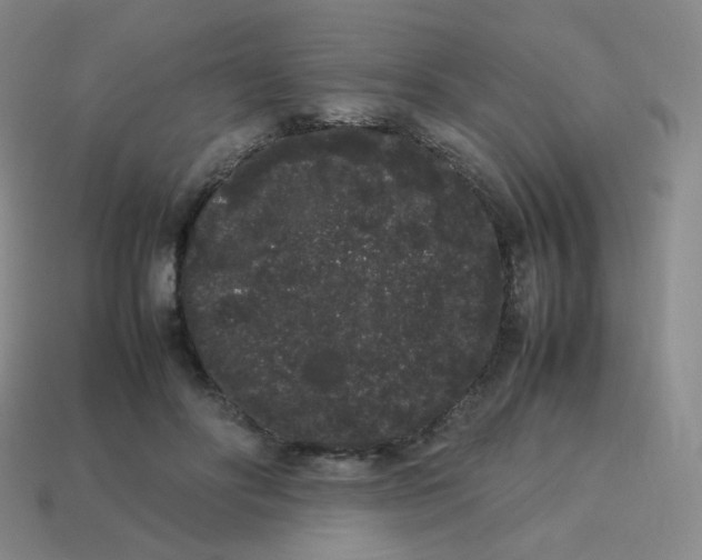 X0000113260502200910081342