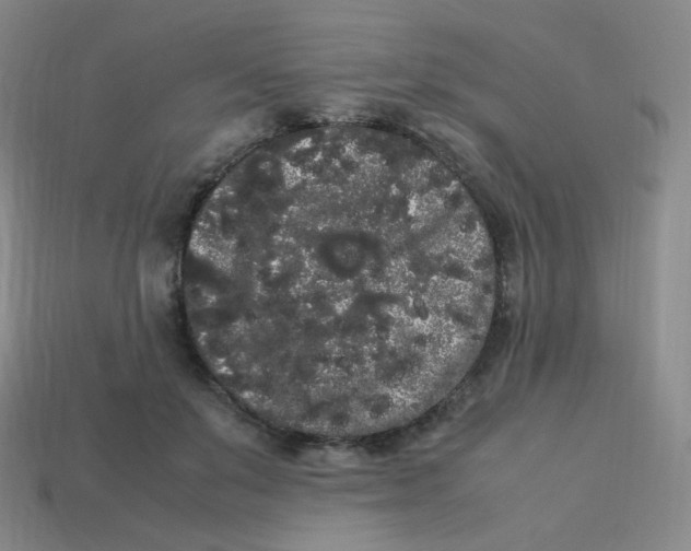 X0000113260503200910081342