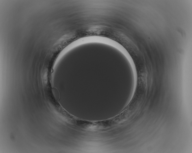 X0000113260504200910081342