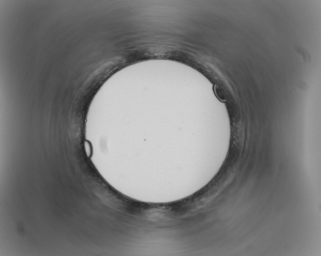 X0000113260505200910081342