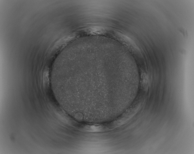 X0000113260506200910081342