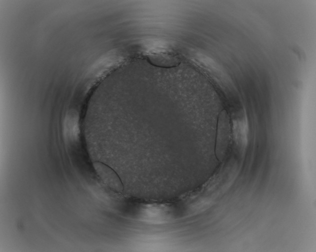 X0000113260508200910081342