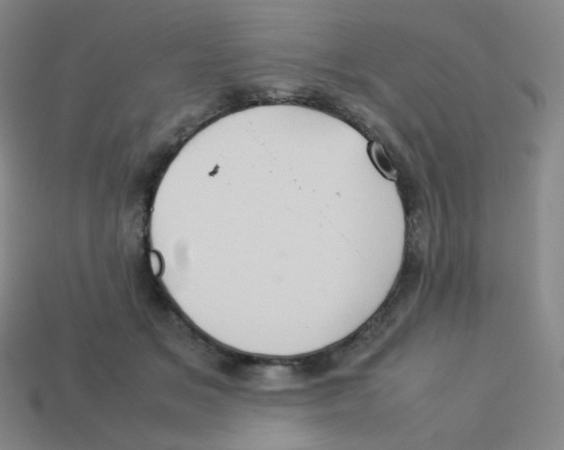 X0000113260509200910081342