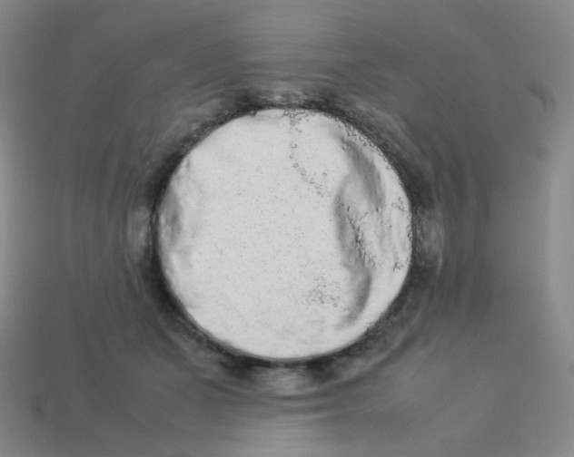 X0000113260511200910081342