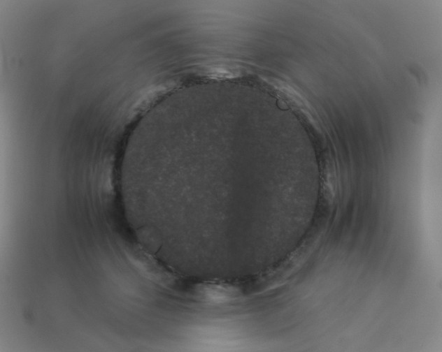 X0000113260512200910081342