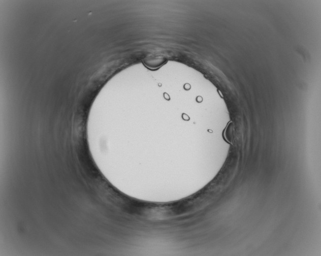 X0000113260513200910081342