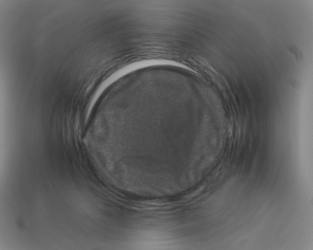 X0000113260516200910081342