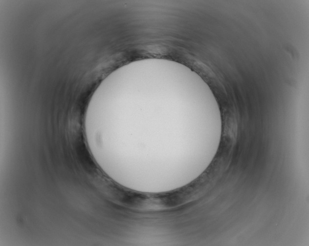 X0000113260518200910081342
