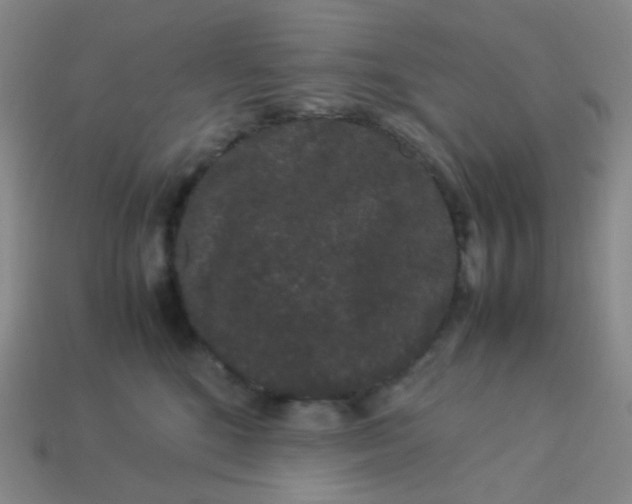 X0000113260520200910081342