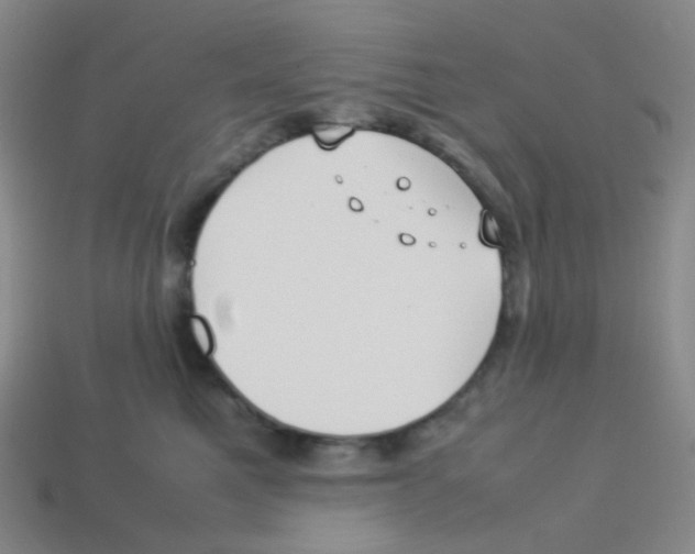 X0000113260521200910081342