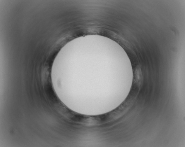 X0000113260522200910081342